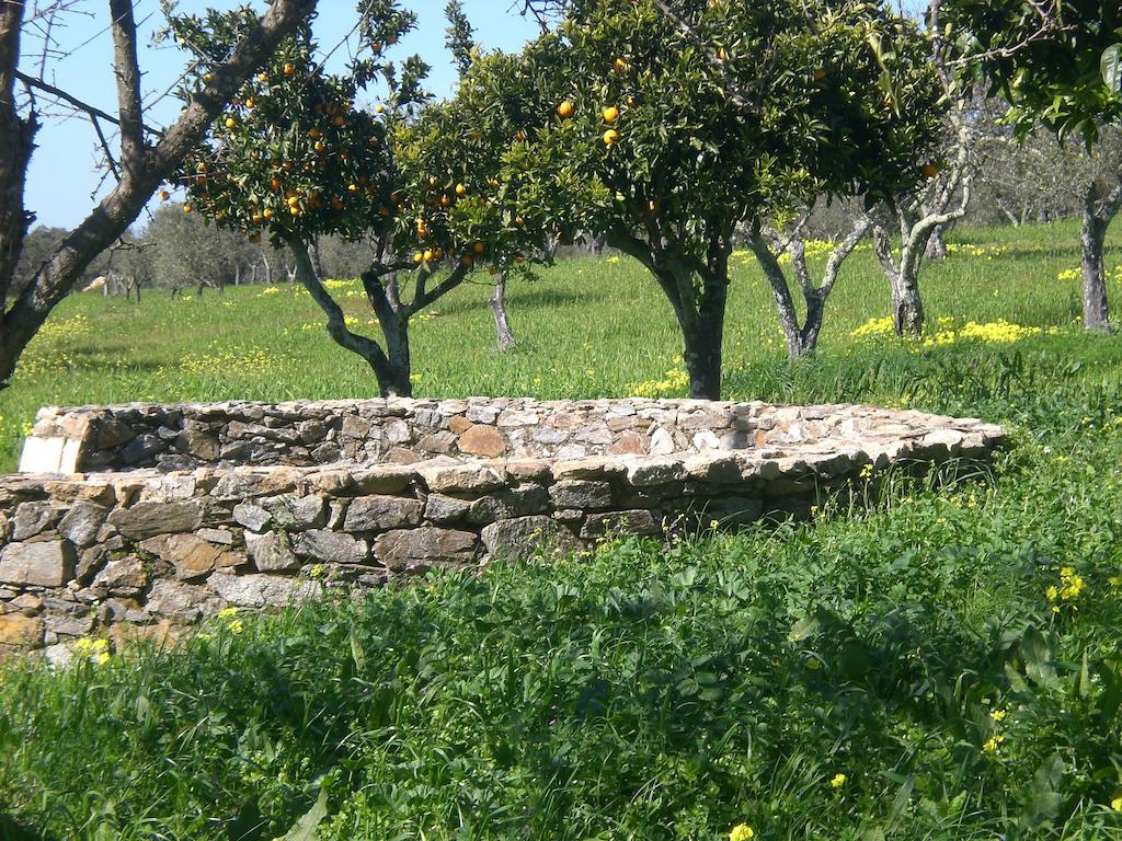Tapada Da Eira E Chanca Fortios Exterior foto