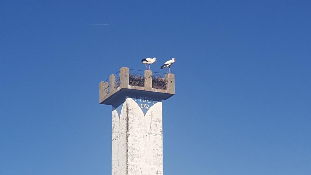 Tapada Da Eira E Chanca Fortios Exterior foto